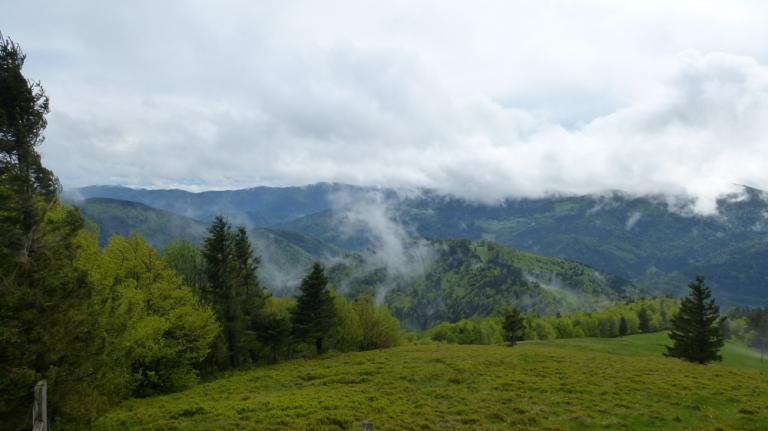 Vue des Vosges